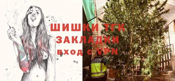 круглые Абаза